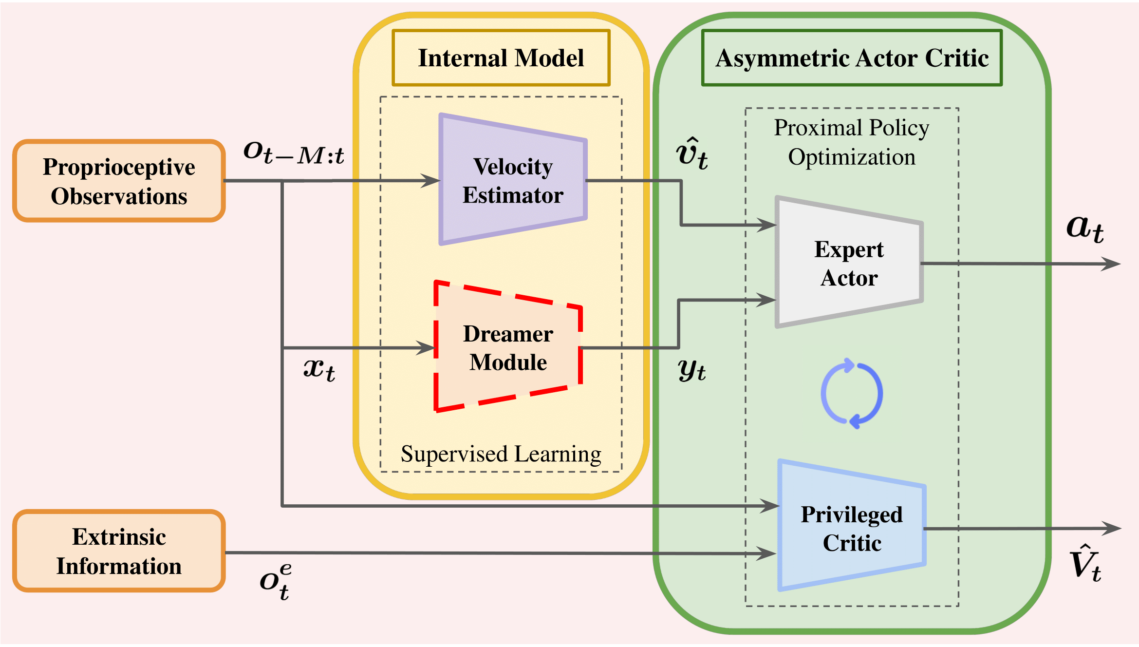 PIP-Loco Training Architecture